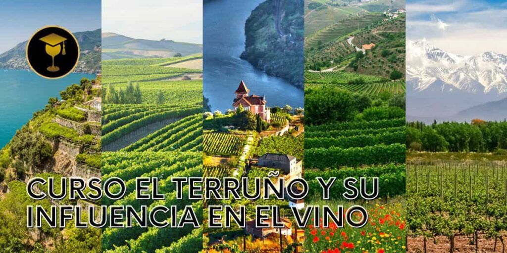 EL TERRUÑO Y SU INFLUENCIA EN EL VINO 2 EL TERRUÑO Y SU INFLUENCIA EN EL VINO Curso El Terruno 1200 x 600px min