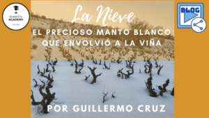 Blog GCA por guillermo cruz 1