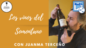 Blog GCA Blog Juanma Terceno. Somontano