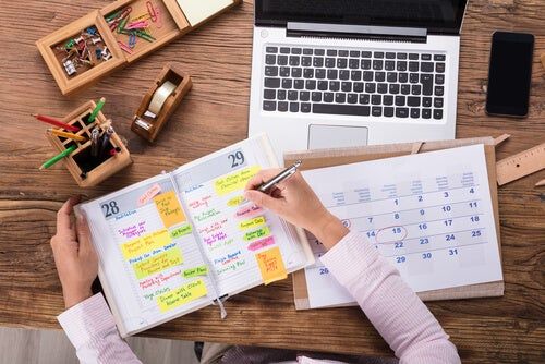 Diez consejos para estudiar sobre el vino mujer organizando