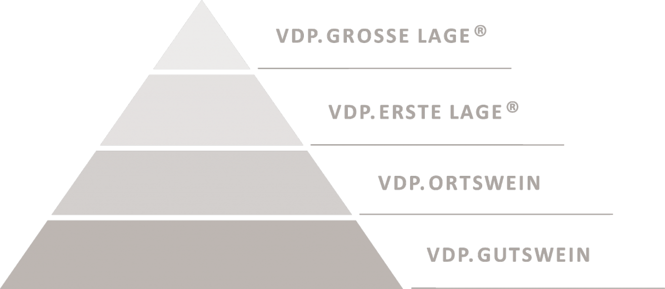 ¿Qué es la VDP? por Ricardo Gil 2016 Klassifikationspyramide alle Stufen warmgrey by VDP 1346x585 1