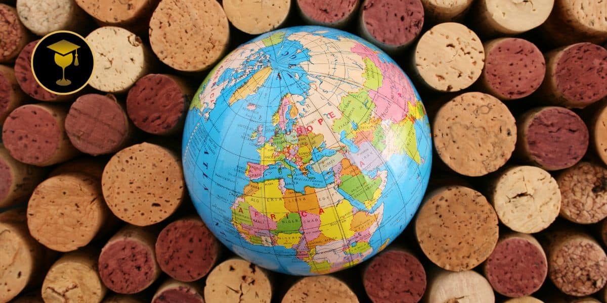fondo curso vinos del mundo