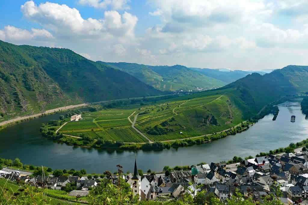 viñedo mosel