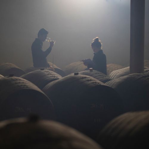 Curso Especialista Vinos Andalucía Bodegas y productores andaluces min