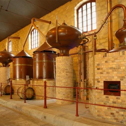 Curso Especialista Vinos Andalucía Productos derivados andaluces min