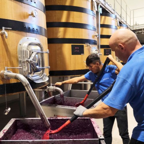 Curso Especialista Vinos Andalucía elaboracion vino andaluz min