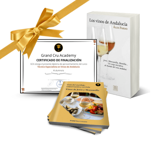 Curso Especialista Vinos Andalucía BONUS ANDALUCIA 500 x 500 px min