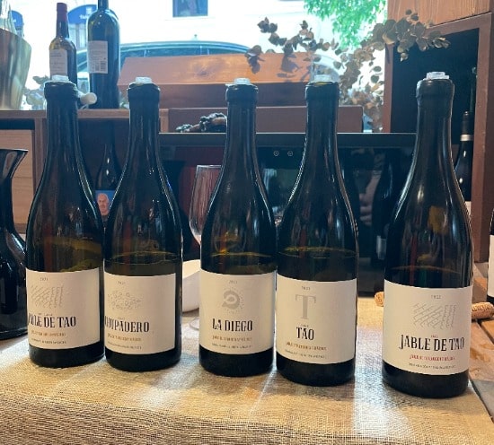 Carmelo Peña y los vinos de altura de Gran Canaria IMG 9079 min