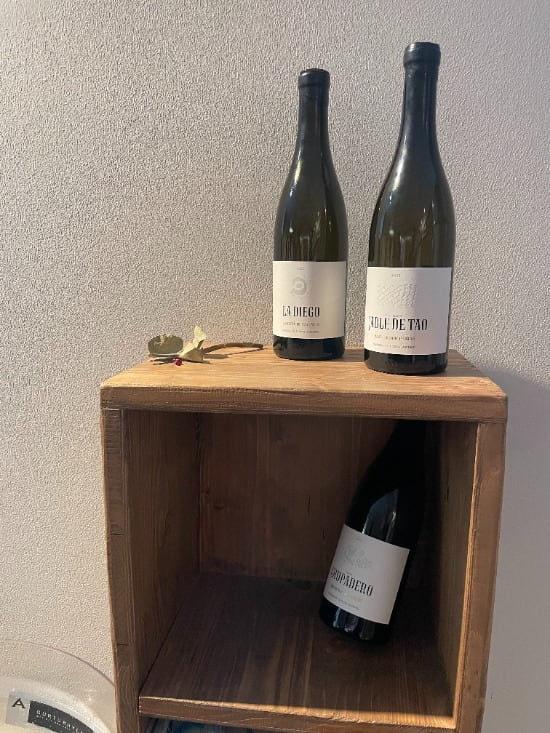 Carmelo Peña y los vinos de altura de Gran Canaria IMG 9082 1 min 1